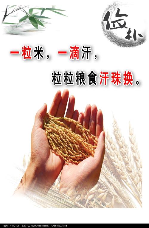 伊利诺伊州出生证明哪里有卖